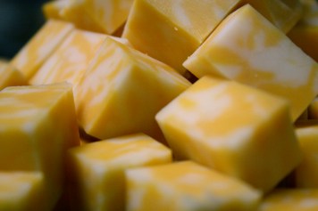 Photo used with permission from (c) Anne Hornyak 