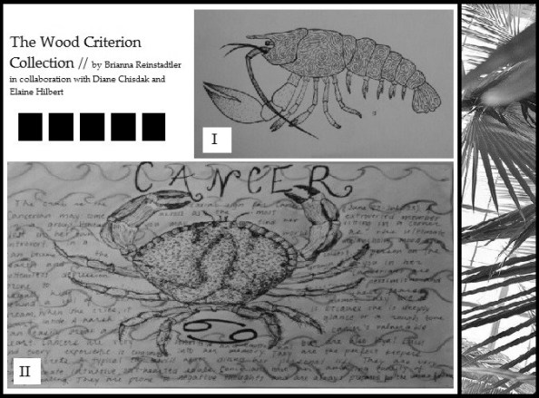 Copy12-Reinstadtler-TheWoodCriterionCollection12